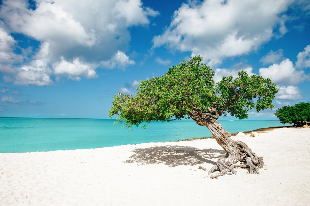 Отель Marriott'S Aruba Surf Club Палм Бич Экстерьер фото